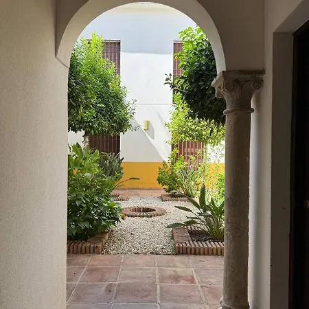 La Casa Del Patio Duplex Con Encanto & Patio Tipico A 2 Min De Plaza De La Corredera Кордова