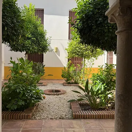 La Casa Del Patio Duplex Con Encanto & Patio Tipico A 2 Min De Plaza De La Corredera Кордова